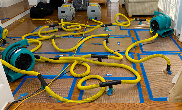 Professional Flood Damage Restoration technician working in Boon, MI